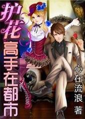 护花高手在都市夏冷